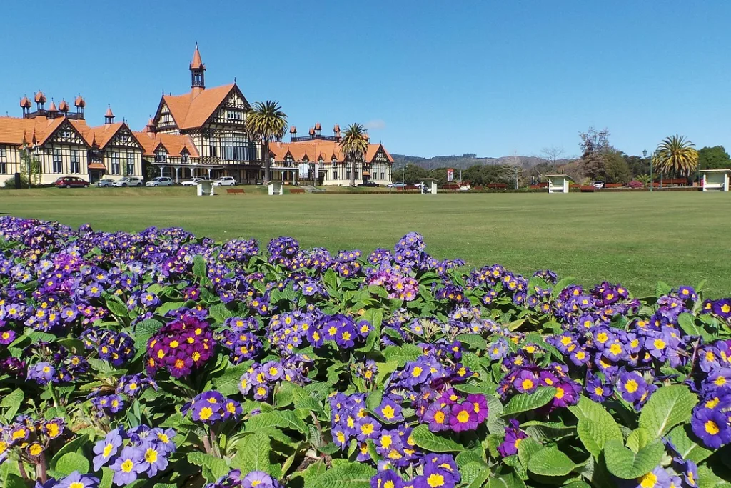 How to Negotiate House Prices (NZ Edition)