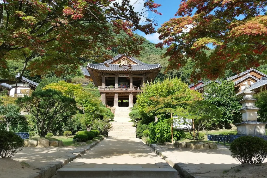 Permanent Residency Pathways in New Zealand